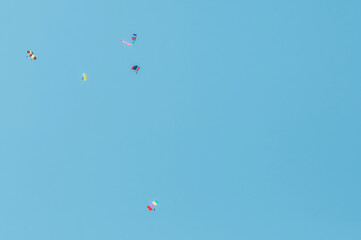 A group of parachutists in a clear sky with colored bright parachutes. Military parade on Victory Day. Copy space.