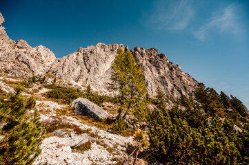 Mountain climber on a steep and exposed Via Ferrata Col dei Bos near passo falzarego. Autumn Passo...
