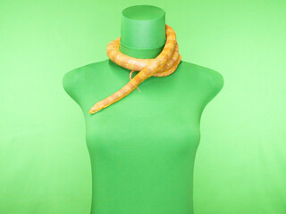 首に巻き付いているオレンジ色の蛇
