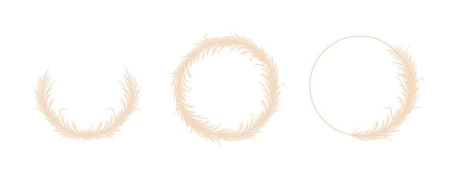 Round frames with dry pampas grass. Wreath of beige cortaderia in boho style. Vector dried flowers isolated on white background. Trendy element design for invitations, postcards, social media.