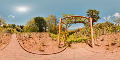 Botanical garden Georgia Batumi blue sky trees spring with 3D spherical panorama with 360 degree viewing angle Ready for virtual reality in vr Full equirectangular projection Beautiful background