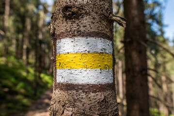 Tree sign on national park