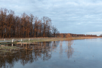 Evening landscape with a flooded river. Spring rural landscape. Flooding of agricultural land.