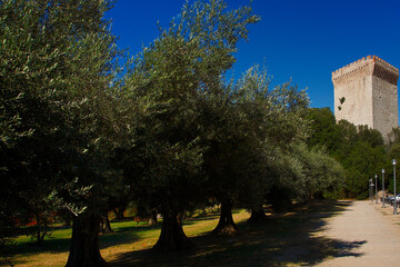 Paesaggio lago Trasimeno. Umbria, Italia