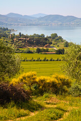 Paesaggio lago Trasimeno, Umbria. Italia - obrazy, fototapety, plakaty