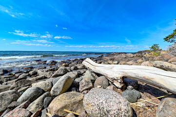 dry driftwood on rocky beach at lake Vattern Sweden