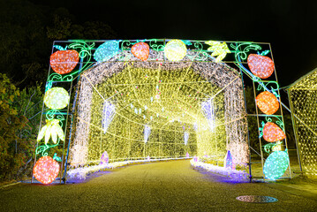 イルミネーション　光のトンネル