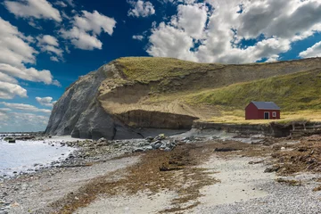 Selbstklebende Fototapeten Fisherman's cottage near the coast in Tierra del Fuego © Fyle