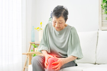 女性　高齢者　膝の痛み　リビング
