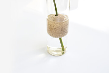 Vase soliflore et flotteur en pierre ponce