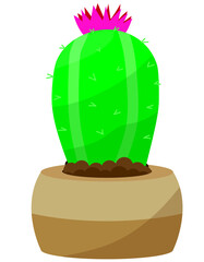 Cactus home nature vector illustration of green plant cactaceous tree with flower