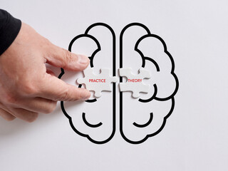 Hand connects the puzzles with the words practice and theory on a human brain symbol. - obrazy, fototapety, plakaty