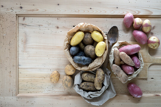Different varieties of raw potatoes on rustic wooden background
