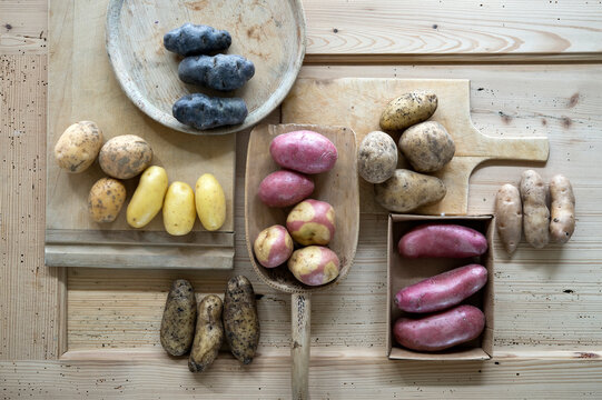 Different varieties of raw potatoes on rustic wooden background