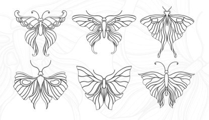 Art nouveau style butterfly basic element. 1920-1930 years vintage design. Symbol motif design.