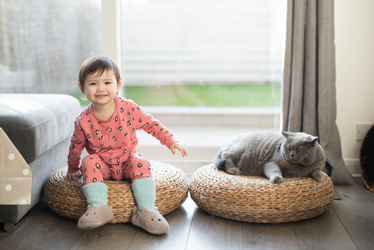 A toddler wearing pink pyjamas, long socks and slippers sits on a wicker stool and smiles to the camera beside her British Short Hair cat next to a patio door in a house in Edinburgh, Scotland, UK