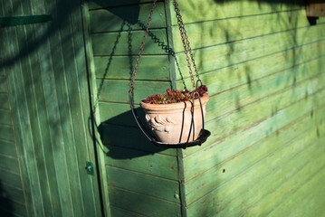 Pot plante suspendu