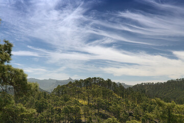 Fototapeta na wymiar Gran Canaria, landscape of the mountainous part of the island in the Nature Park Tamadaba