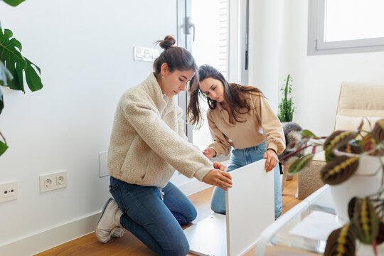 Young lesbian couple installing furniture at home