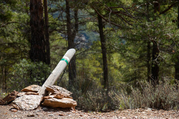 Hiking trail in the mountains of Sierra Nevada, Spain
