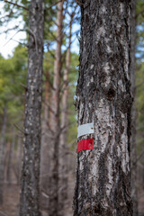 Hiking trail in the mountains of Sierra Nevada, Spain