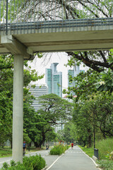 Skywalk and big green trees in the park,Benchakitti park Thailand.