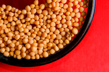 white mustard seeds in a small glass bowl on a red table