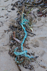 Garbage and organic remains of trees and plants on a beach