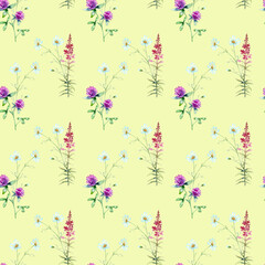 Watercolor seamless pattern of Chamomile, pink fireweed, Red Clover isolated on a yellow background.