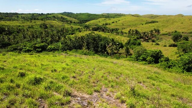 Teletubbies Hills in Nusa Penida