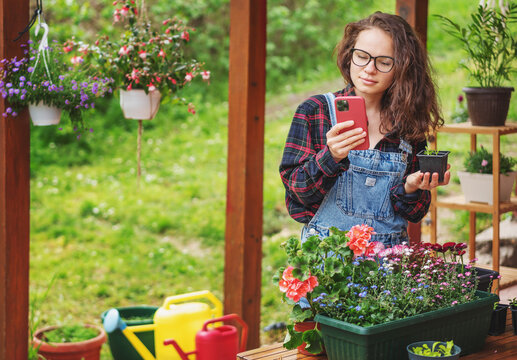 Beautiful young woman gardener with a smartphone in her hands and potted plants on the terrace of her house