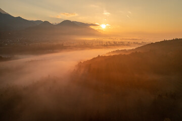 Aerial image showing the grand forest at autumn sunrise. 