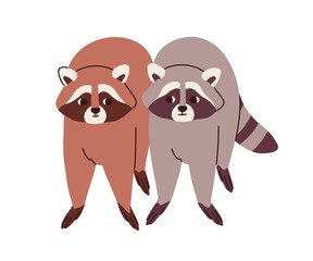 Cute raccoons couple portrait. Funny racoon friends of different fur color. Adorable lovely sweet grey and brown wild animals pair. Flat vector illustration isolated on white background