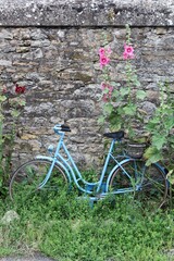 Blue bike with flowers in Beaujolais, France