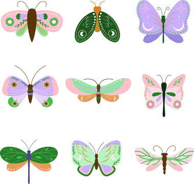 Set Of Butterflies And Moths