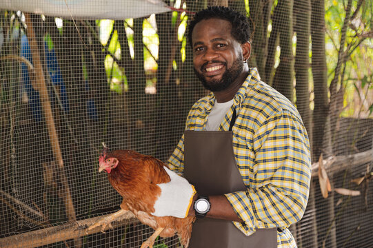 Happy farmer holding chicken at farm	