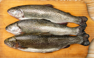 Raw Trout Isolated