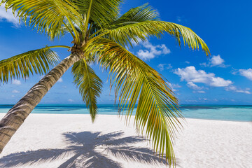 Sunny tropical beach with palm trees and turquoise water, island vacation summer day. Paradise...