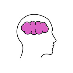 simple illustration of brain inside head on isolated background. line illustration with the theme of intelligence