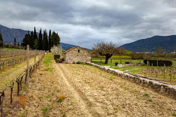 Fototapeta premium Old stone farm barn in spring vineyard. Europe.