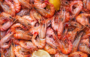 Lots of boiled sea shrimps with lemon.
