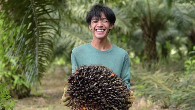 Young Asian man smiling lifting a palm oil in the estate
