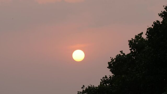 timelaps sunset behind tree cloudes rainy day  India Maharashtra Karnataka south India  rays shine