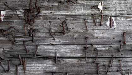 Weathered wood with rusted nails and metal staples background texture
