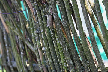 Retro braided fence with green mold. Used for fencing crops and livestock.