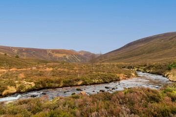 A scenic view of a Scottish moutain river (Nethy) with moorland in the foreground and mountain valley and summit in the background under a beautiful blue sky