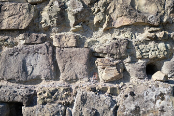 Old stone wall background, dark rock surface