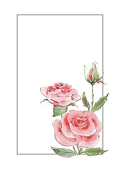 Floral rectangular frame bouquet of rose flowers. Hand drawn watercolor on white background for holiday card, wedding invitations, cover, packaging, print.