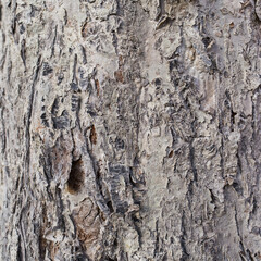 Holz Hintergrund