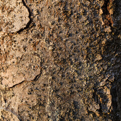 Holz Hintergrund